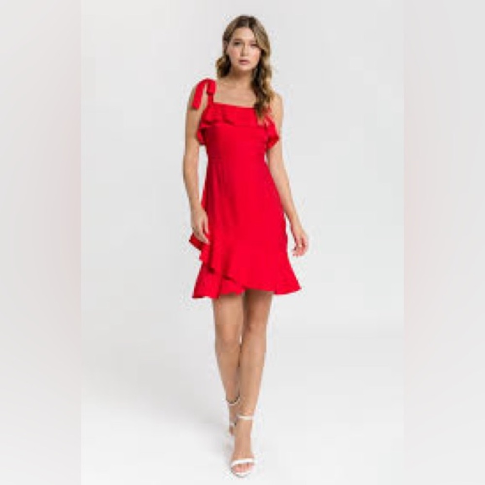 Endless rose red tie ruffle dress